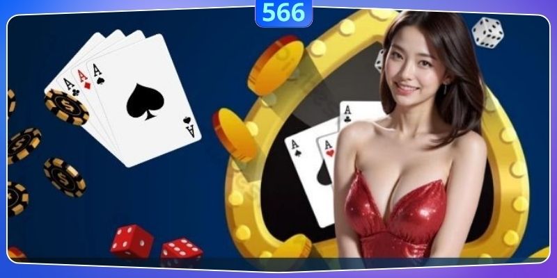 Chính sách bảo mật tại 566 năm 2025