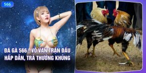 Đá Gà 566 - Vô Vàn Trận Đấu Hấp Dẫn, Trả Thưởng Khủng