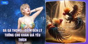 Đá Gà Thomo - Điểm Đến Lý Tưởng Cho Khán Giả Yêu Thích