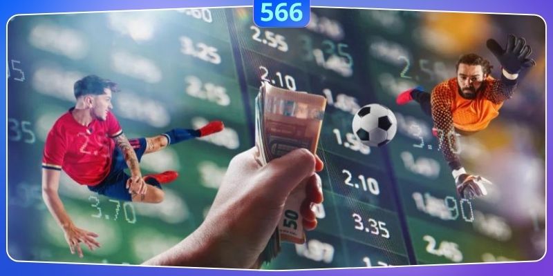 Điểm qua các sai sót lớn của hội viên khi đặt cược vào các cửa