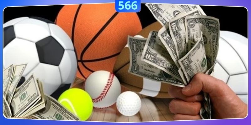 Giao diện cược thể thao 566 thân thiện