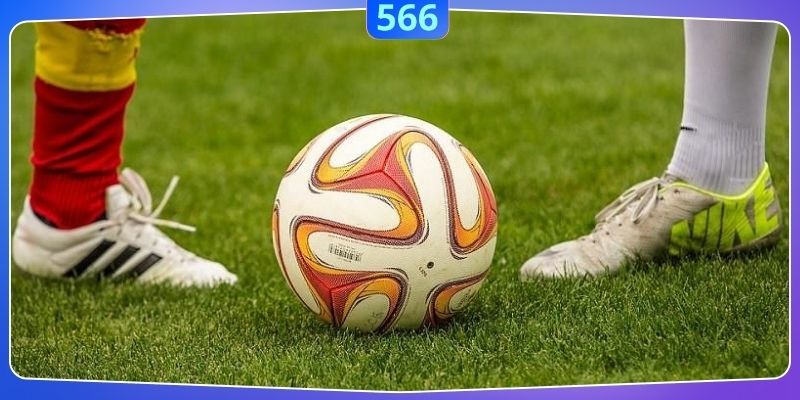 Nắm bắt chia sẻ hữu dụng từ chuyên gia để không mất tiền oan