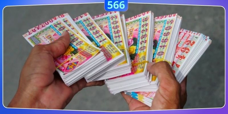 Theo dõi kết quả cũ trước khi cược