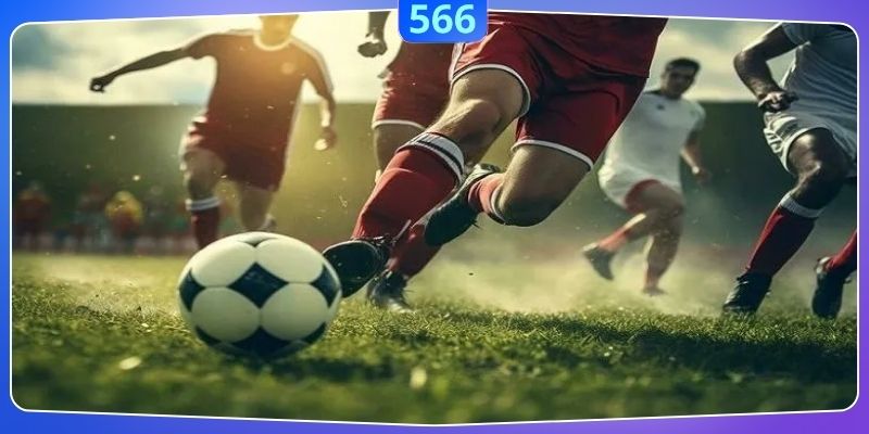 Thông tin cơ bản cần biết về bể kèo khi tham gia đầu tư